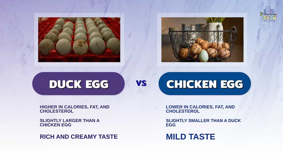 Chicken Egg vs Duck Egg Nutrition: Comparing Nutritional Profiles of Eggs