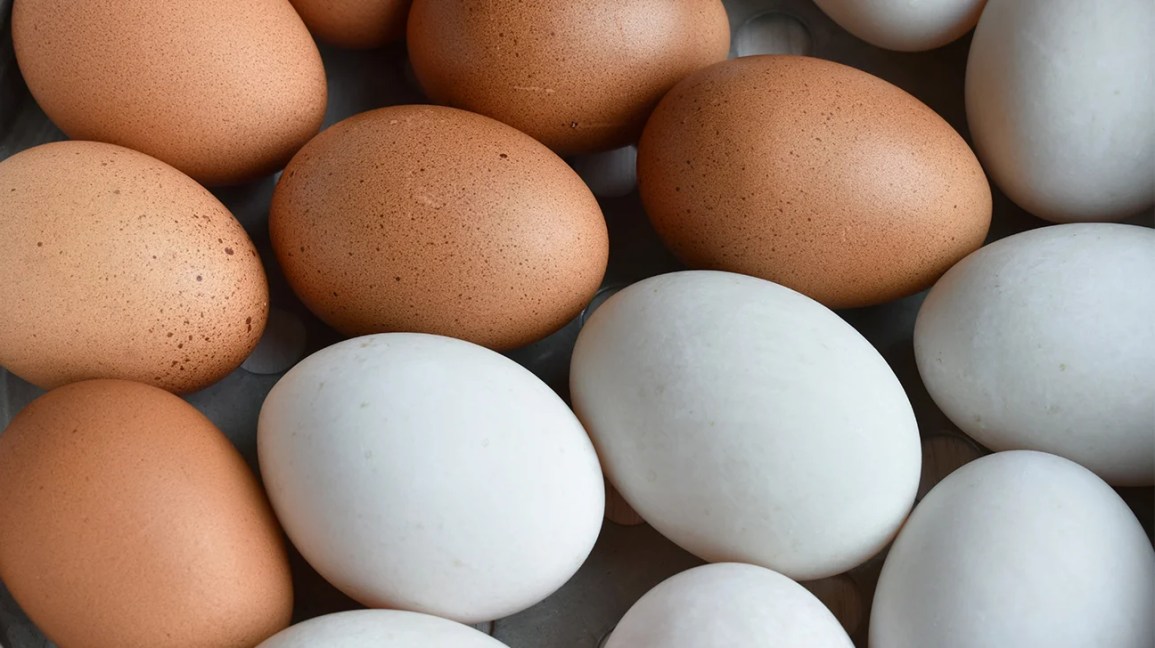 Chicken Egg vs Duck Egg Nutrition: Comparing Nutritional Profiles of Eggs