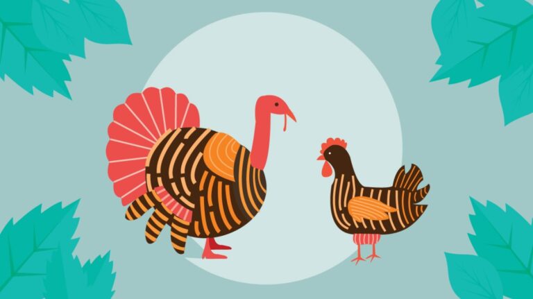 Chicken vs Turkey Protein: Analyzing the Protein Profiles of Poultry